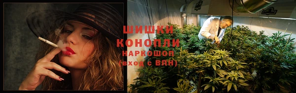 не бодяженный Лабытнанги