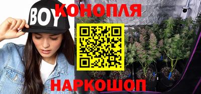 PSILOCYBIN Кандалакша