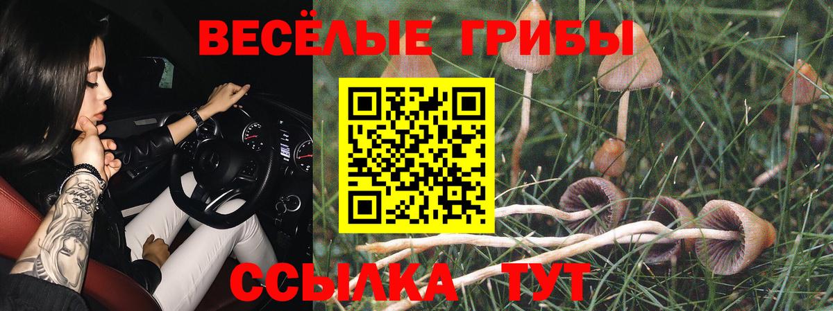 Галлюциногенные грибы ЛСД Симферополь