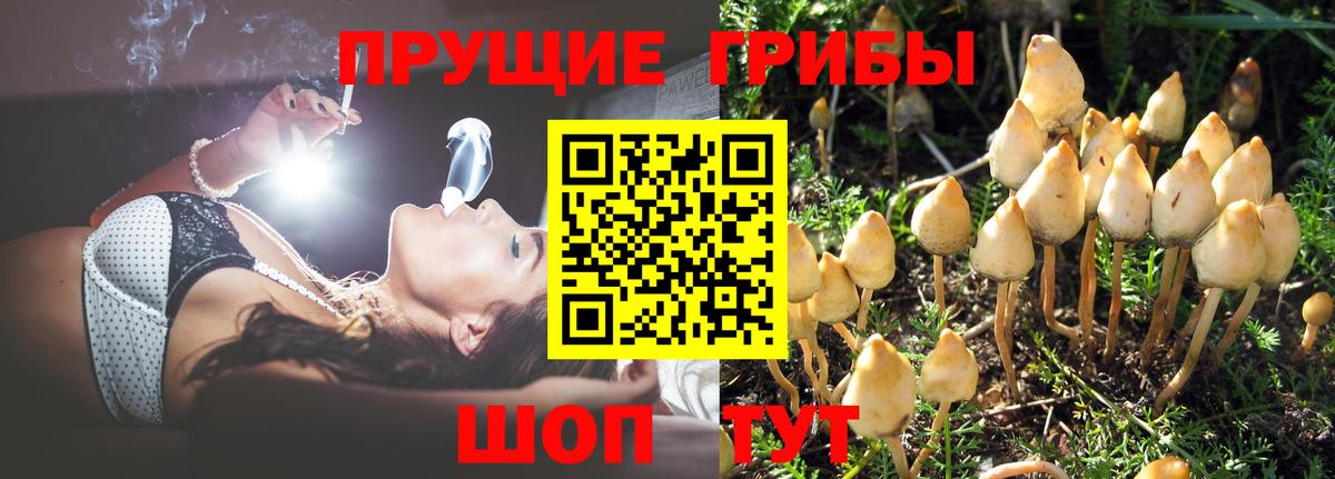 Галлюциногенные грибы GOLDEN TEACHER Симферополь